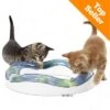 Catit Design Senses Speed Circuit 1 Catit Design Senses Speed Circuit -Pet Supplies Store 229874 hagen catit tempo spielschiene topseller 08 2012 2