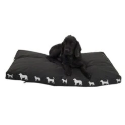Silhouettes Black Dog Cushion 15 Silhouettes Black Dog Cushion -Pet Supplies Store 231893 white dogs 06 dsc5688 6