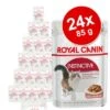 Royal Canin Wet Cat Food Saver Pack 24 X 85g