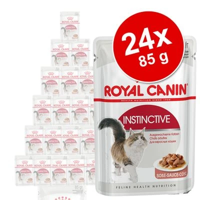 Royal Canin Wet Cat Food Saver Pack 24 X 85g 3 Royal Canin Wet Cat Food Saver Pack 24 X 85g