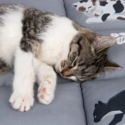 Cat Cushion Medley -Pet Supplies Store 233899 katzenkissen medley fg 9770 3