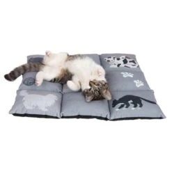 Cat Cushion Medley -Pet Supplies Store 233899 katzenkissen medley fg 9775 0