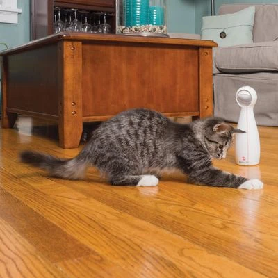 PetSafe® FroliCat® Bolt Laser Cat Toy 5 PetSafe® FroliCat® Bolt Laser Cat Toy - Image 3