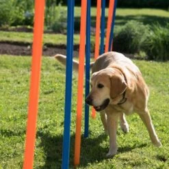Agility Fun & Sport Slalom Set -Pet Supplies Store 23798 agility fun sport slalom set fg 13 1