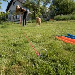 Agility Fun & Sport Slalom Set -Pet Supplies Store 23798 agility fun sport slalom set fg 4 3