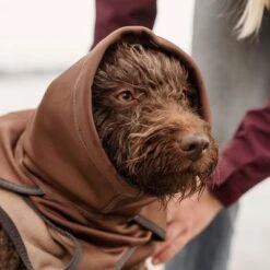 Hurtta Bare Softshell Dog Coat - Chocolate -Pet Supplies Store 247796 247797 247896 247897 247898 247899 bestfriend hurtta bare softshell hundejacke chocolate hs 13 6