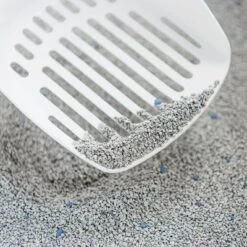 Intersand Classic Pine Forest Scented Cat Litter -Pet Supplies Store 248818 intersand classic katzenstreu pinienwald hs 03 8