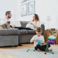 Intersand Classic Pine Forest Scented Cat Litter -Pet Supplies Store 248818 intersand classic katzenstreu pinienwald hs 05 8