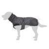 Reflecting Stars Dog Coat -Pet Supplies Store 262100 labrador fg 8