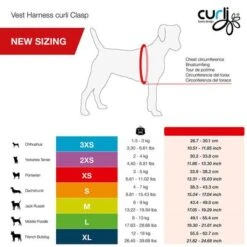 Curli Vest Harness Clasp Air-Mesh, Sky Blue -Pet Supplies Store 267596 267597 267598 267308 curli vest geschirr clasp airmesh himmelblau hs 05 6