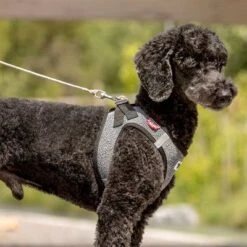 Curli Ultra Strong Pocket Leash 15 Curli Ultra Strong Pocket Leash -Pet Supplies Store 267896 267897 ultrastarke taschenleine hs 05 3