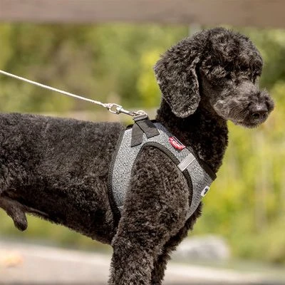 Curli Ultra Strong Pocket Leash 8 Curli Ultra Strong Pocket Leash - Image 6