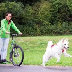 Curli Ultra Strong Pocket Leash 12 Curli Ultra Strong Pocket Leash -Pet Supplies Store 267896 267897 ultrastarke taschenleine hs 07 2