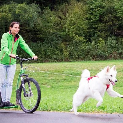 Curli Ultra Strong Pocket Leash 5 Curli Ultra Strong Pocket Leash - Image 3