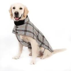 Flannel Check Dog Coat -Pet Supplies Store 269071 flannel check 60cm fg 2336 5