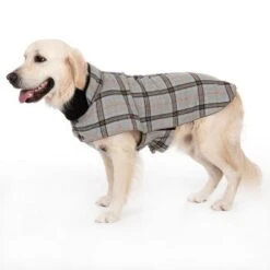 Flannel Check Dog Coat -Pet Supplies Store 269071 flannel check 60cm fg 2346 8