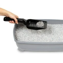 Ever Clean® Spring Garden Clumping Cat Litter -Pet Supplies Store 287598 pla everclean spring garden klumpstreu 10l hs 06 4