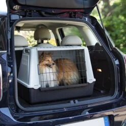 Ferplast Atlas Mini Car Transport Crate -Pet Supplies Store 28935 ferplast atlas car mini dog hs 02 3