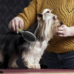 Moser Double Sided Coat Grooming Brush -Pet Supplies Store 289796 moser beidseitige fellpflegebuerste hs 02 1