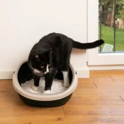 Kooa Cat Litter Tray - 100% Recycled Plastic -Pet Supplies Store 298496 kooa schalentoilette fg 0913 4