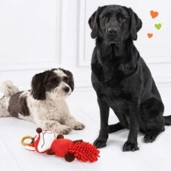 Doglove Dog Toy Fox -Pet Supplies Store 303196 edupet doglove hundespielzeug fuchs hs 05 9