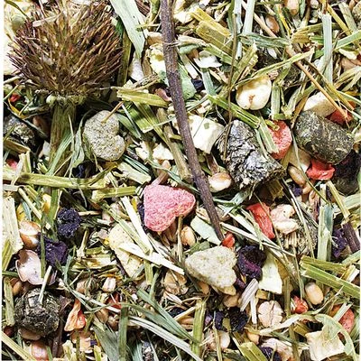 JR Farm Feast For Degus 5 JR Farm Feast For Degus - Image 3