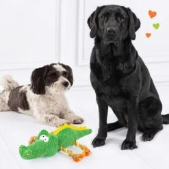 Doglove Dog Toy Crocodile 12 Doglove Dog Toy Crocodile -Pet Supplies Store 303496 edupet doglove hundespielzeug krokodil hs 05 1