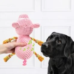 Doglove Dog Toy Pig 10 Doglove Dog Toy Pig -Pet Supplies Store 303598 edupet doglove hundespielzeug pferd hs 03 7
