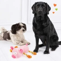 Doglove Dog Toy Pig 12 Doglove Dog Toy Pig -Pet Supplies Store 303598 edupet doglove hundespielzeug pferd hs 05 3