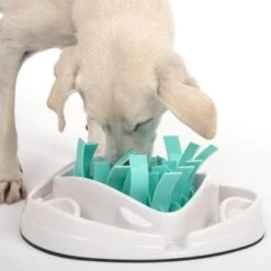 TIAKI Intelligence Toy Grass Slow Feeder -Pet Supplies Store 304297 tiaki dog grass slow feeder fg 1855 7