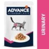 Advance Veterinary Diets Feline Urinary -Pet Supplies Store 309897 affinityspain advance veterinarydiets felineiurinary hs 06 2