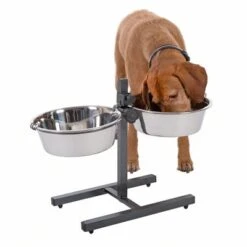 Dog Bowl Stand With 2 Stainless Steel Bowls -Pet Supplies Store 313523 kumar hundebar inklusive 2 edelstahln pfe 03 dsc5878 8