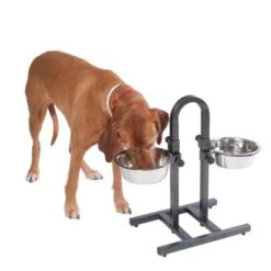 U-Shaped Dog Bowl Stand With Stainless Steel Bowls 13 U-Shaped Dog Bowl Stand With Stainless Steel Bowls -Pet Supplies Store 313525 u hundebar 05 dsc9197 9