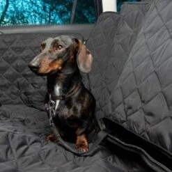 TIAKI Hammock Car Seat Cover -Pet Supplies Store 316796 hammok im auto fg 6338 4