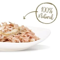 Applaws Cat Food Pouches In Broth -Pet Supplies Store 31785 applaws thunfisch sardellen hs 03 8