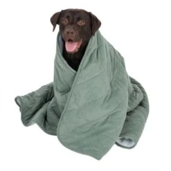Modern Living Dog Blanket Victoria -Pet Supplies Store 318002 decke victoria fg 5832 3