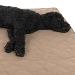TIAKI Dog Blanket Toffee -Pet Supplies Store 318003 tiaki decke toffee hs 19 5