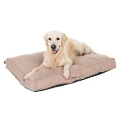 TIAKI Dog Mattress Memory Foam, Beige -Pet Supplies Store 318698 mit hund fg 5093 8