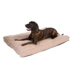 TIAKI Dog Mattress Memory Foam, Beige -Pet Supplies Store 318699 mit hund fg 5104 1