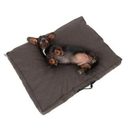 TIAKI Dog Mattress Memory Foam, Brown -Pet Supplies Store 318700 tiaki hundematzratze braun fg 5058 5