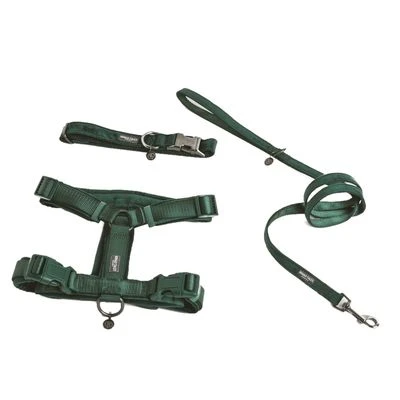 Nomad Tales Blush Harness - Emerald 9 Nomad Tales Blush Harness - Emerald - Image 7