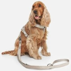 Nomad Tales Blush Harness - Taupe -Pet Supplies Store 323028 nomad tales blush geschirr taupe 14 3