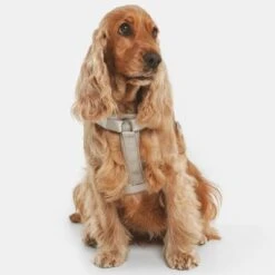 Nomad Tales Blush Harness - Taupe -Pet Supplies Store 323028 nomad tales blush geschirr taupe 17 6