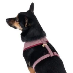 Nomad Tales Calma Harness - Burgundy -Pet Supplies Store 325599 calma fg 7765 4