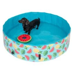 TIAKI Dog Paddling Pool With Cover 13 TIAKI Dog Paddling Pool With Cover -Pet Supplies Store 325909 schwimmende wassermelone mit ball fg 6696 3