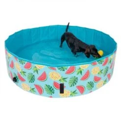 TIAKI Dog Paddling Pool With Cover 16 TIAKI Dog Paddling Pool With Cover -Pet Supplies Store 326696 floating pineapple fg 6648 6