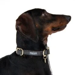 Nomad Tales Calma Collar, Ebony -Pet Supplies Store 326802 calma m fg 7363 0