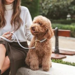 Nomad Tales Calma Dog Leash, Stone 13 Nomad Tales Calma Dog Leash, Stone -Pet Supplies Store 326806 326197 nomad tales calma halsband stone 03 5