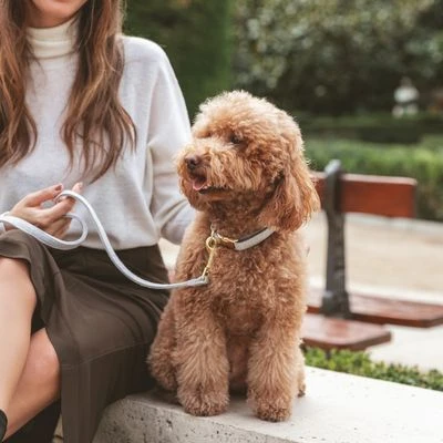 Nomad Tales Calma Dog Leash, Stone 6 Nomad Tales Calma Dog Leash, Stone - Image 4