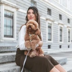 Nomad Tales Calma Dog Leash, Stone 14 Nomad Tales Calma Dog Leash, Stone -Pet Supplies Store 326806 326197 nomad tales calma halsband stone 05 0